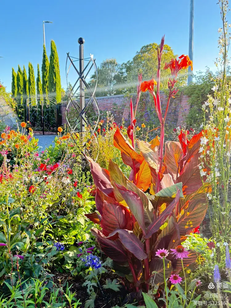 基督城--梦娜维尔花园